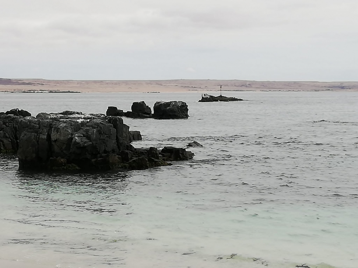 Vistas del puerto