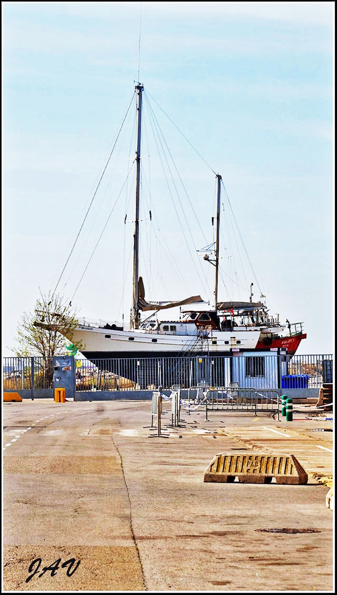 Moll de Ponent - Muelle de Poniente. 5