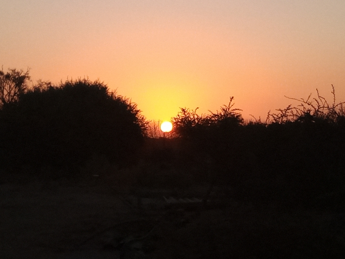 Atardecer desde la parcela