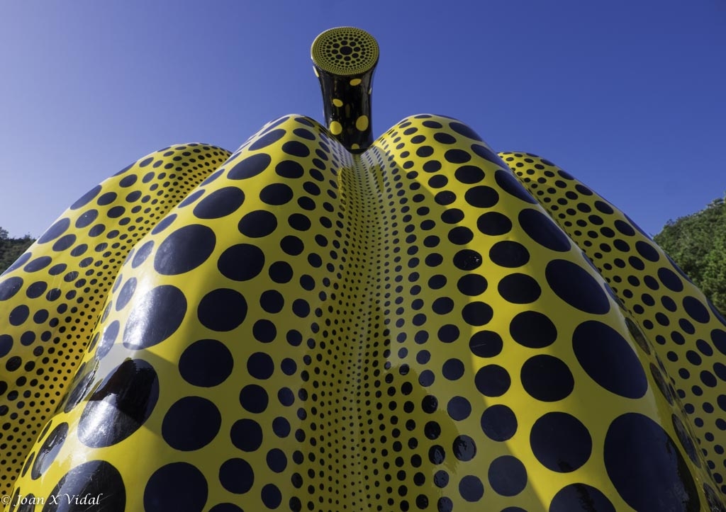 CARBASSA GROGA - KUSAMA YAYOI