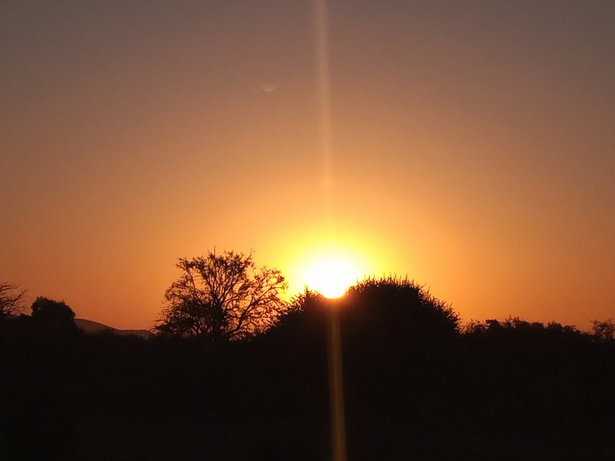 Atardecer desde la parcela