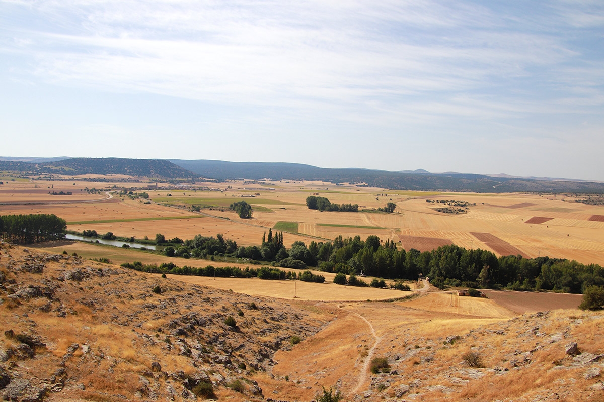 Campos de Soria