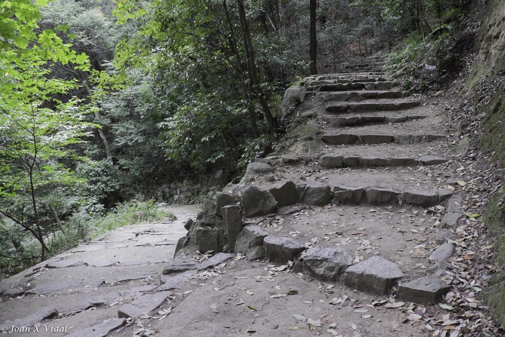 PUJADA AL CASTELL DE MATSUYAMA