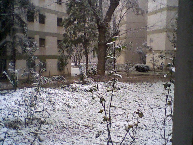 nieve en mi ventana