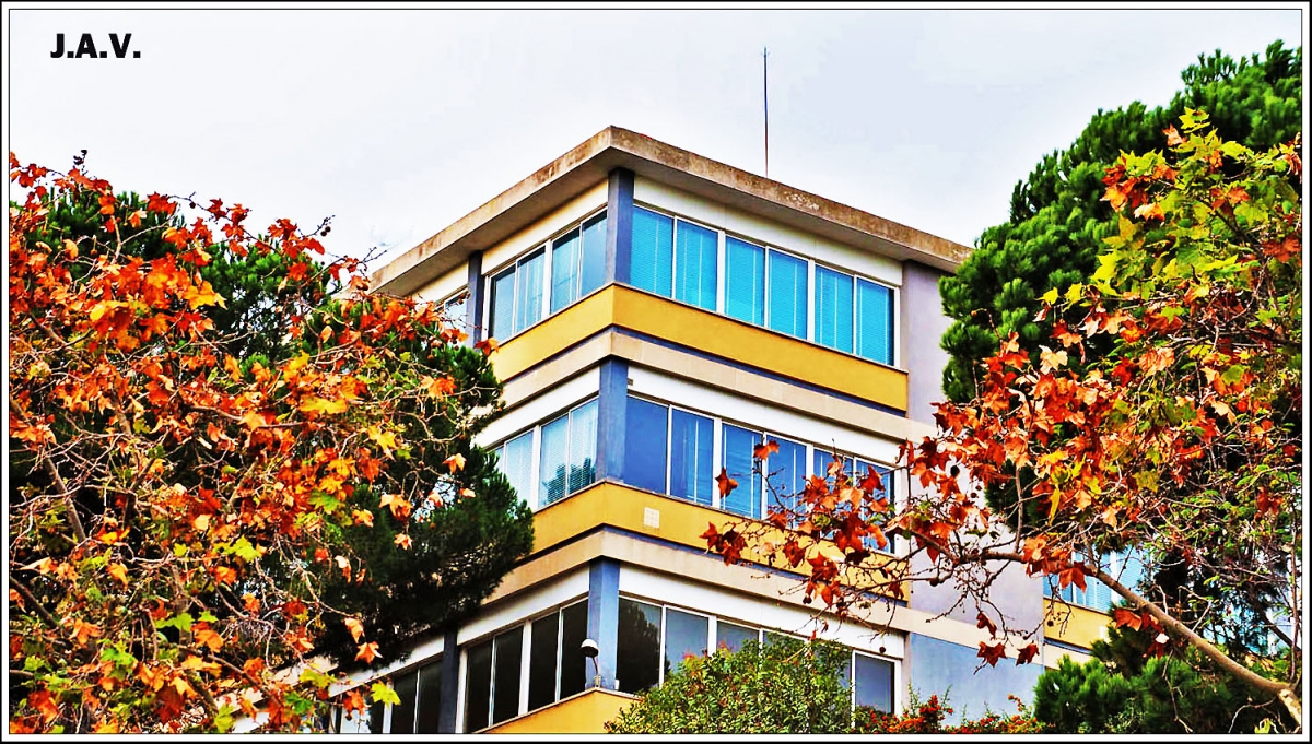 Cemento, cristal y naturaleza.