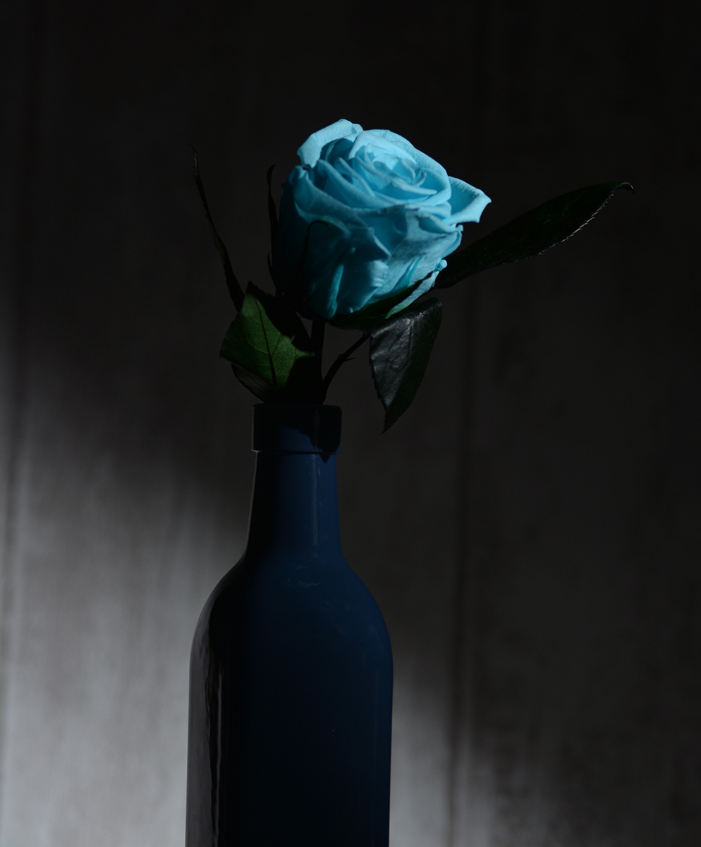 Rosa azul.1