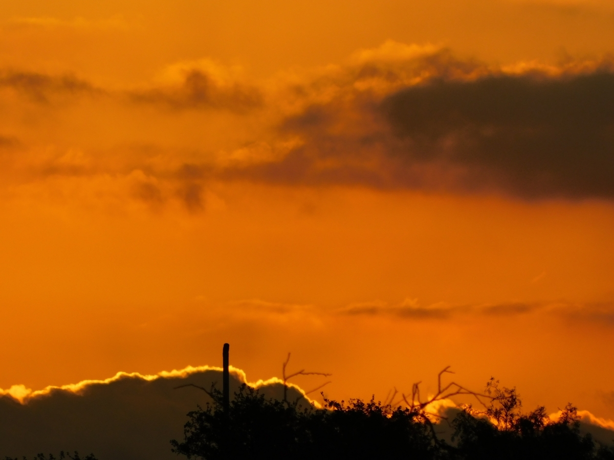 Atardecer desde la parcela 2