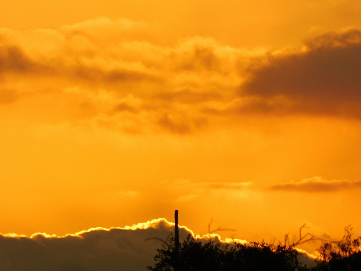 Atardecer desde la parcela