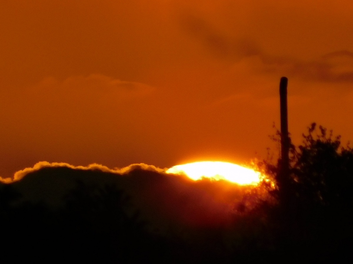 Atardecer desde la parcela 2