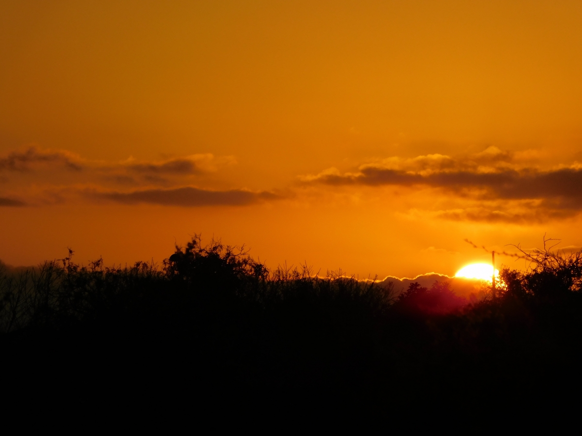 Atardecer desde la parcela 3