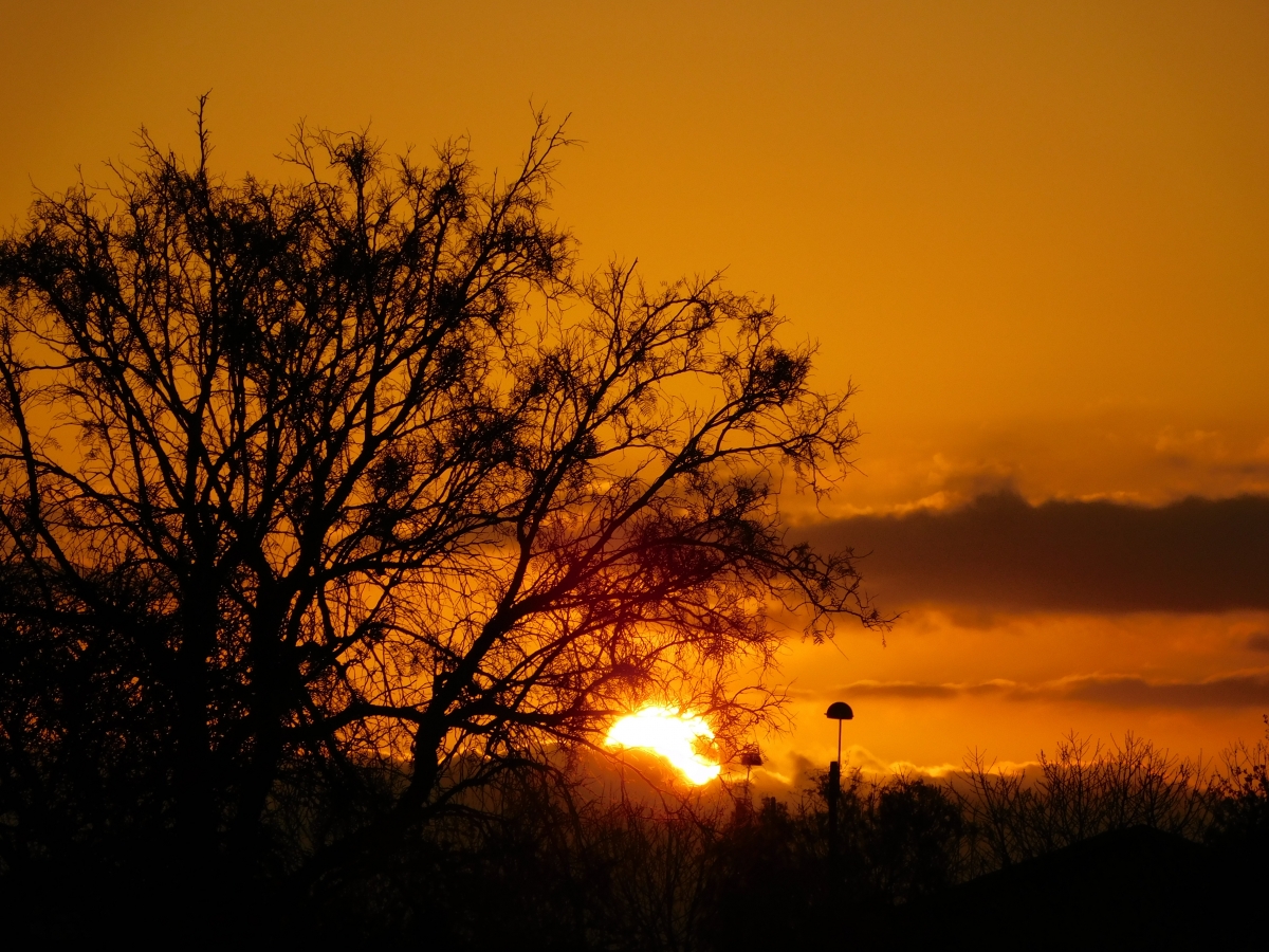 Atardecer desde la parcela 4