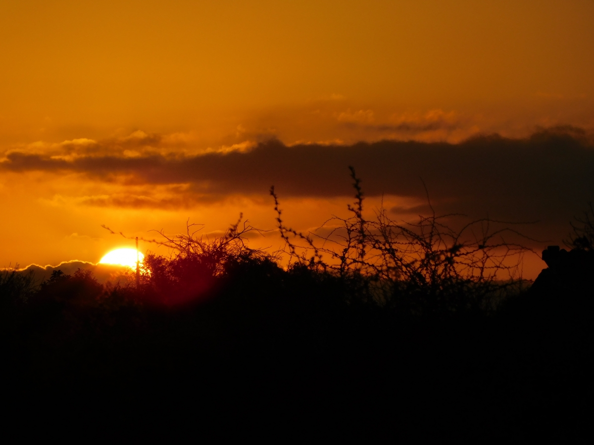 Atardecer desde la parcela 5