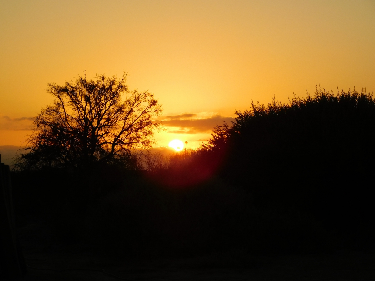 Atardecer desde la parcela 6