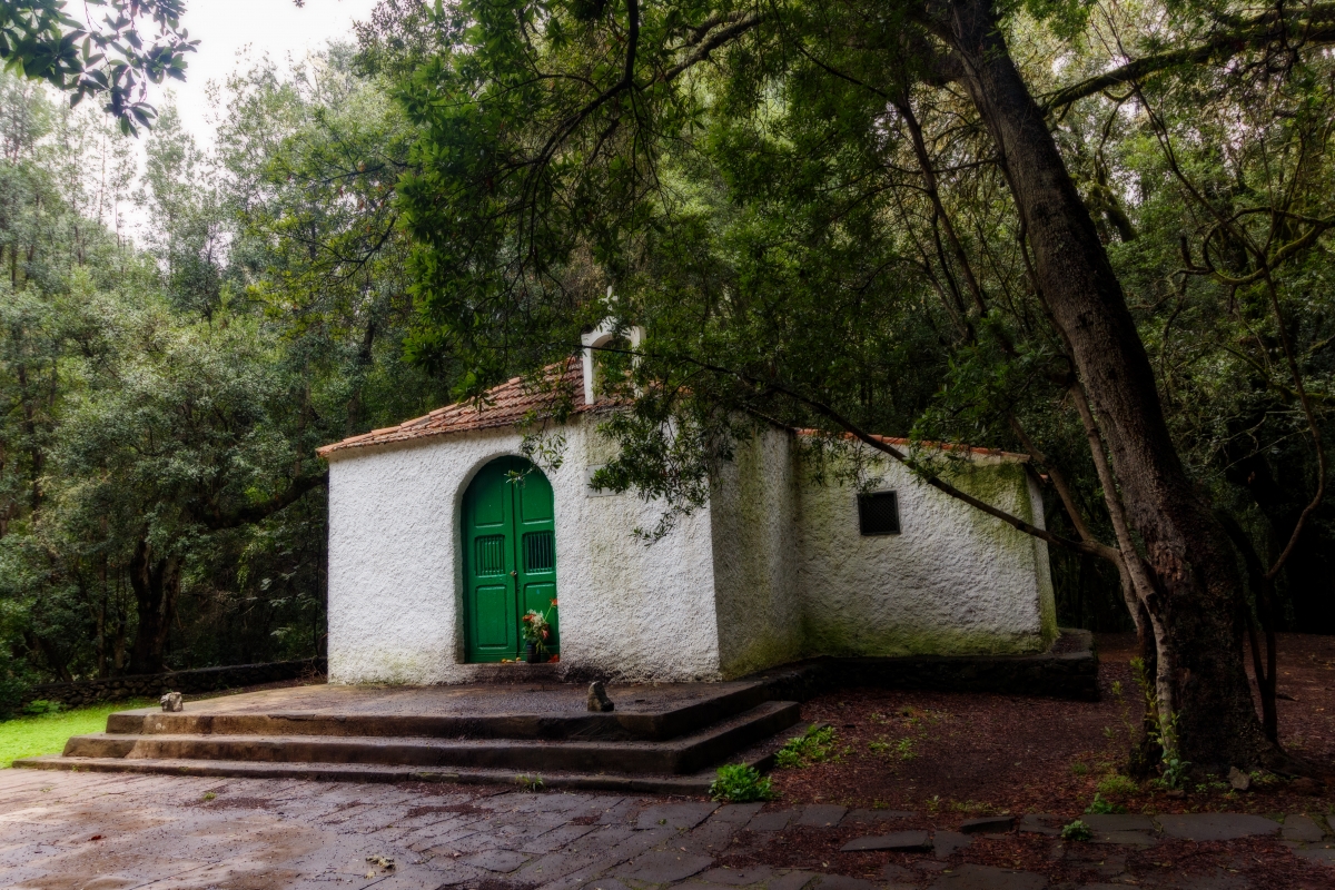 Sendero del Cedro