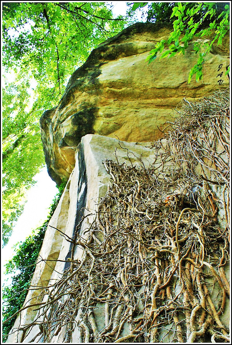 Esqueletos en las rocas.