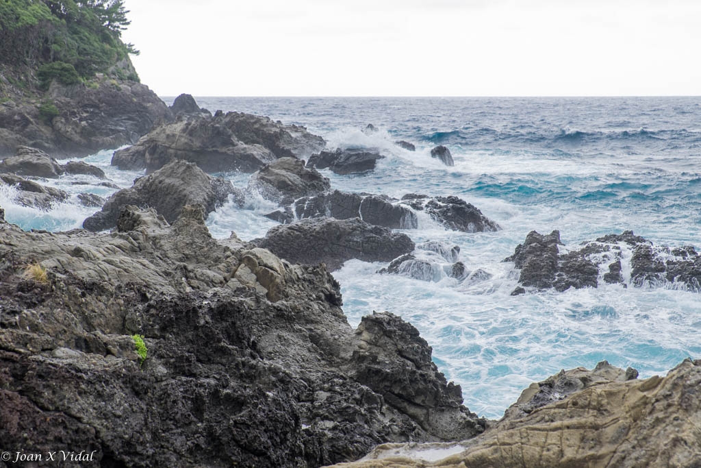 costa de yakushima