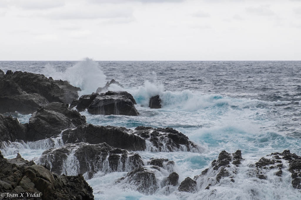 COSTA DE YAKUSHIMA