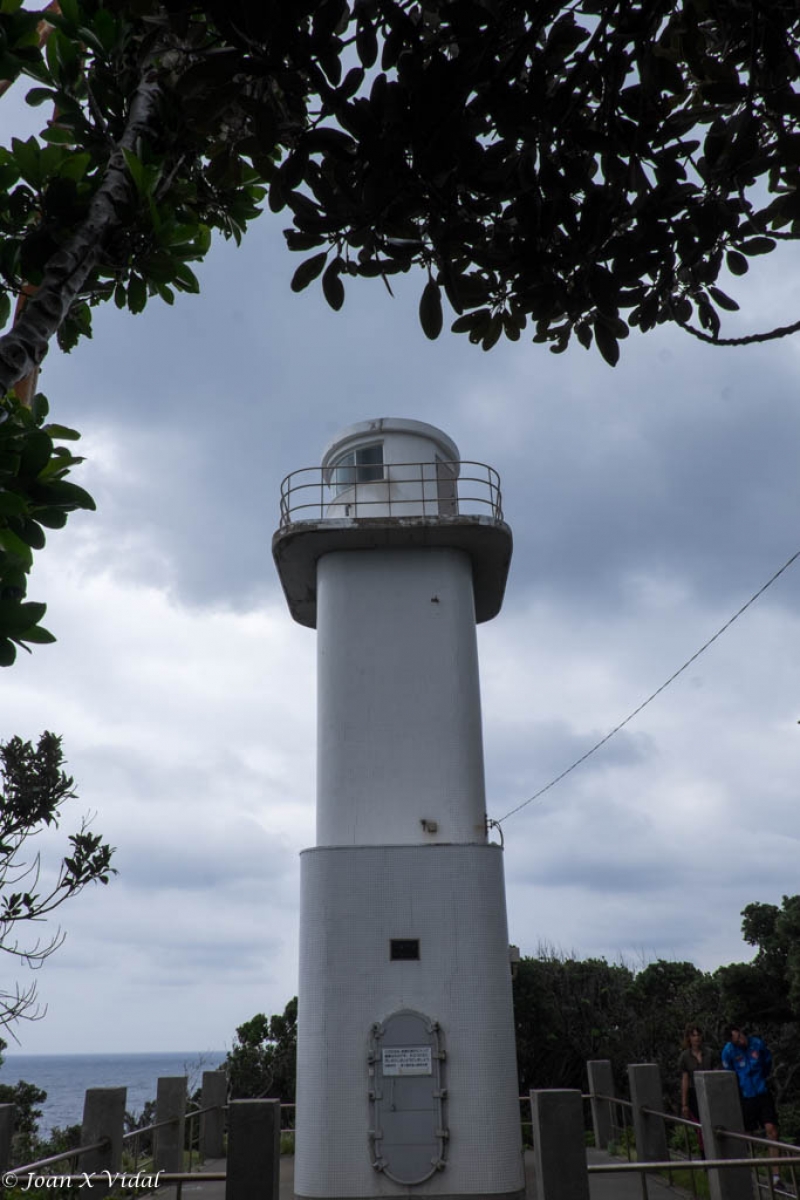 VISITA DEL FARO