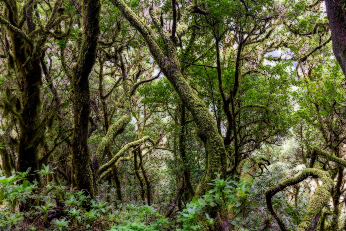 Sendero de Bailadero