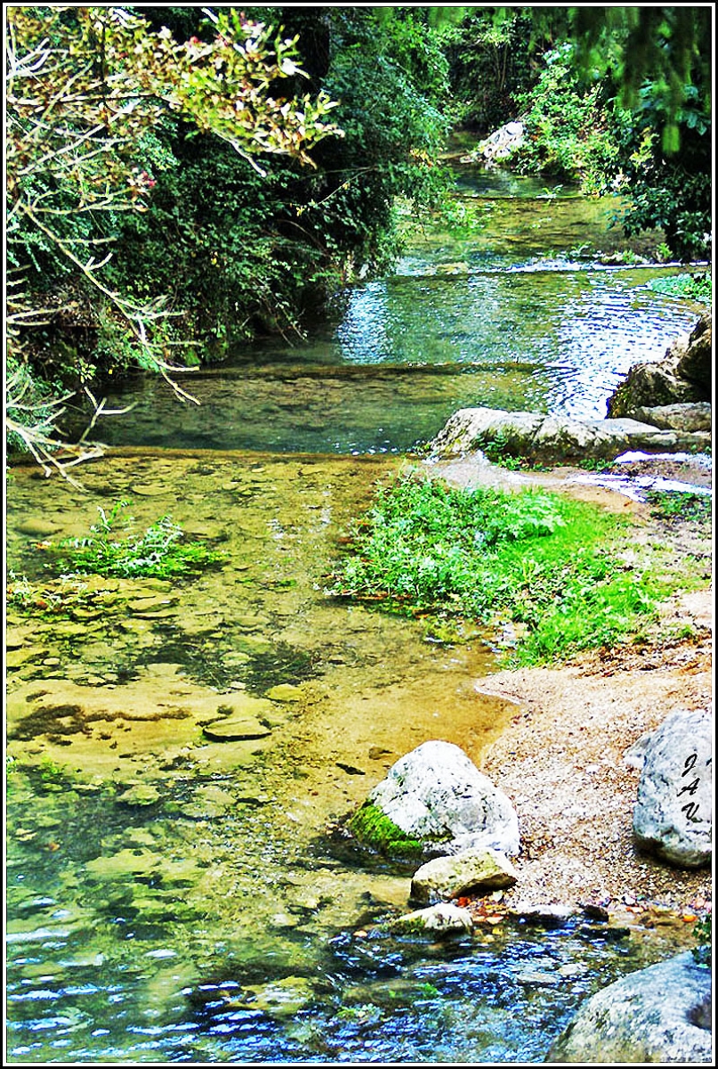 Riachuelo crecido.