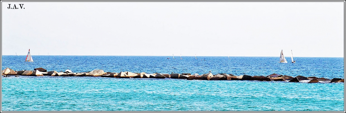 Panormica de una carrera a vela.