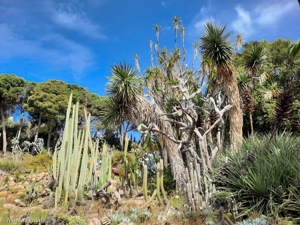 JARDINS MAR I MURTRA