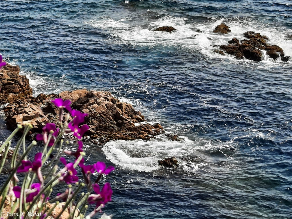 MAR I MURTRA