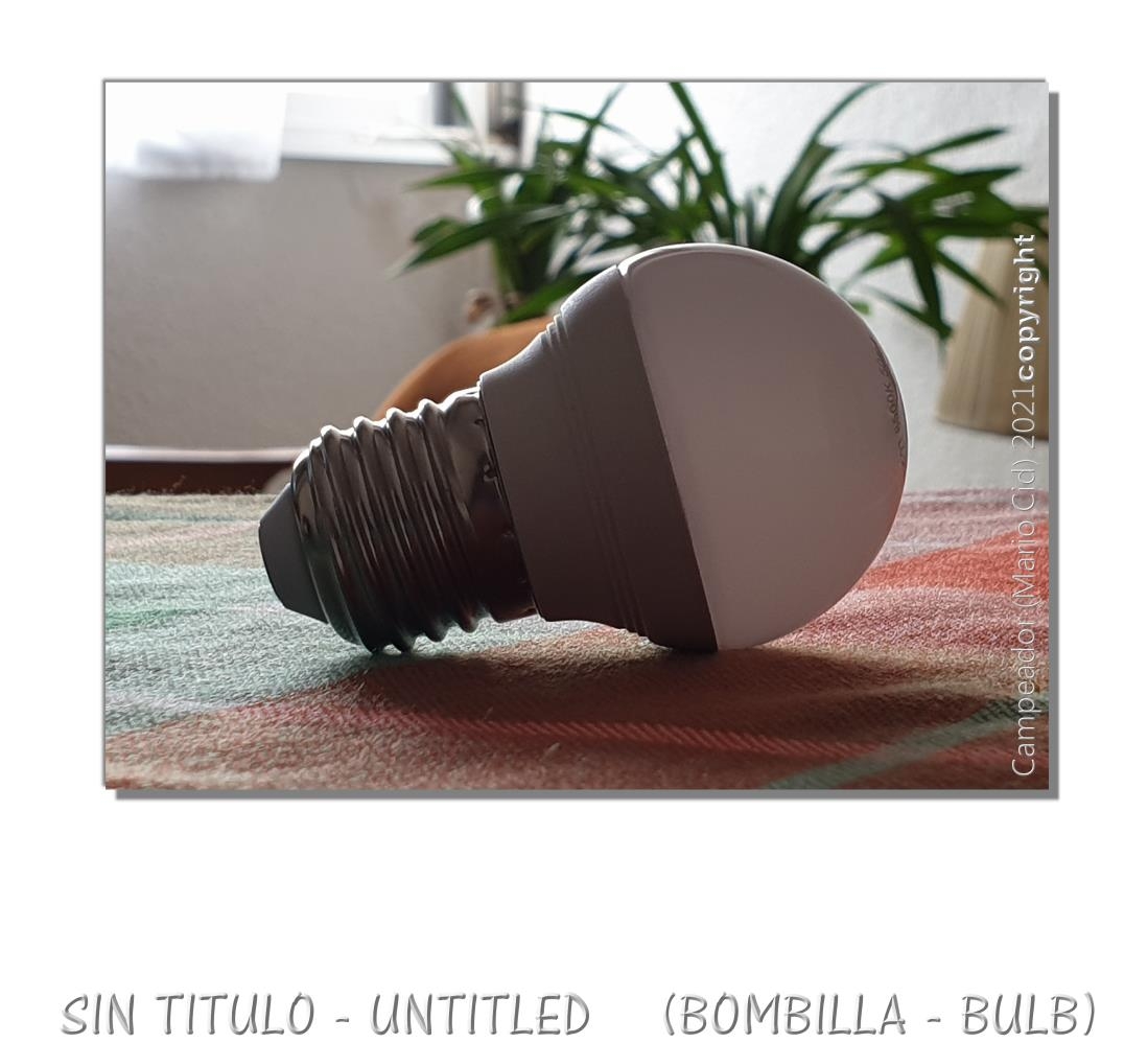 SIN TITULO (bombilla) - UNTITLED (bulb). Derechos de autor / photo by: Campeador (Mario Cid)