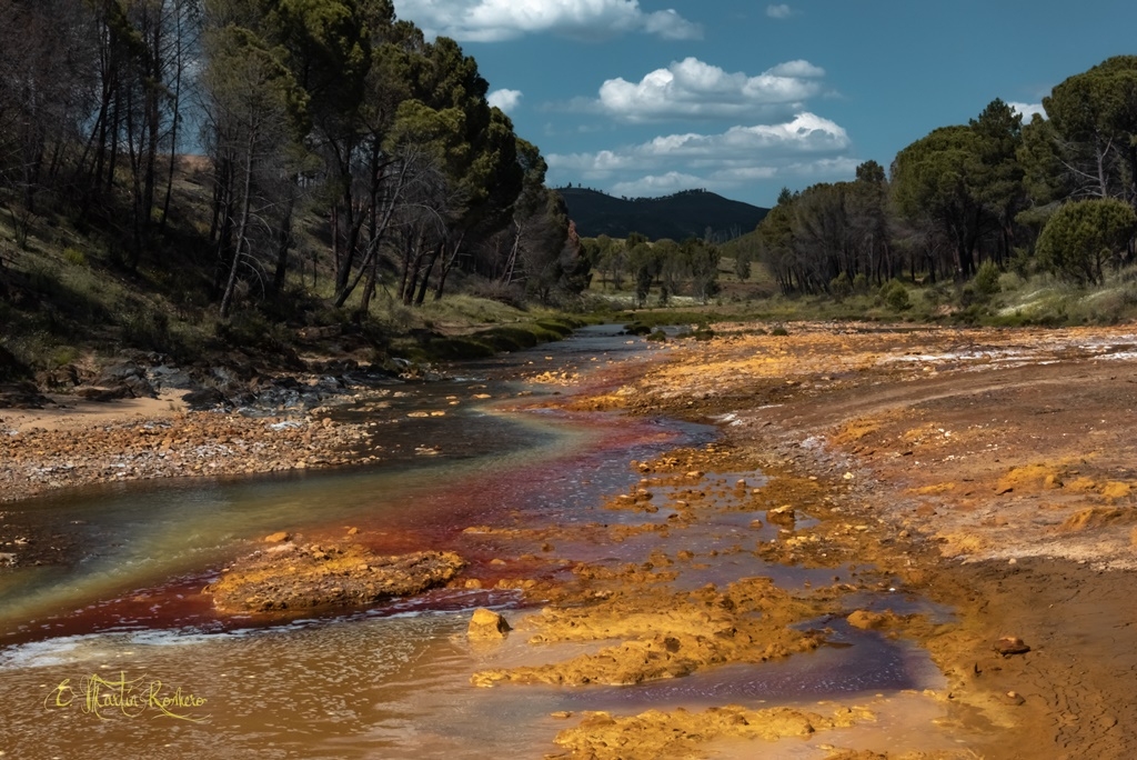 Aguas teidas