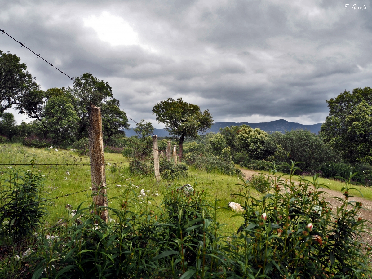 Alambradas y Caminos I