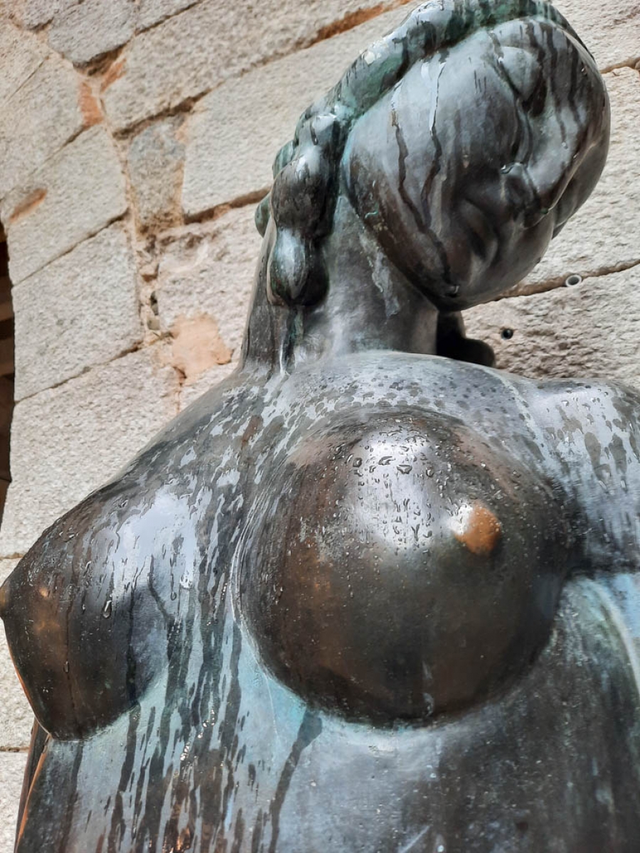 VENUS DE GIRONA