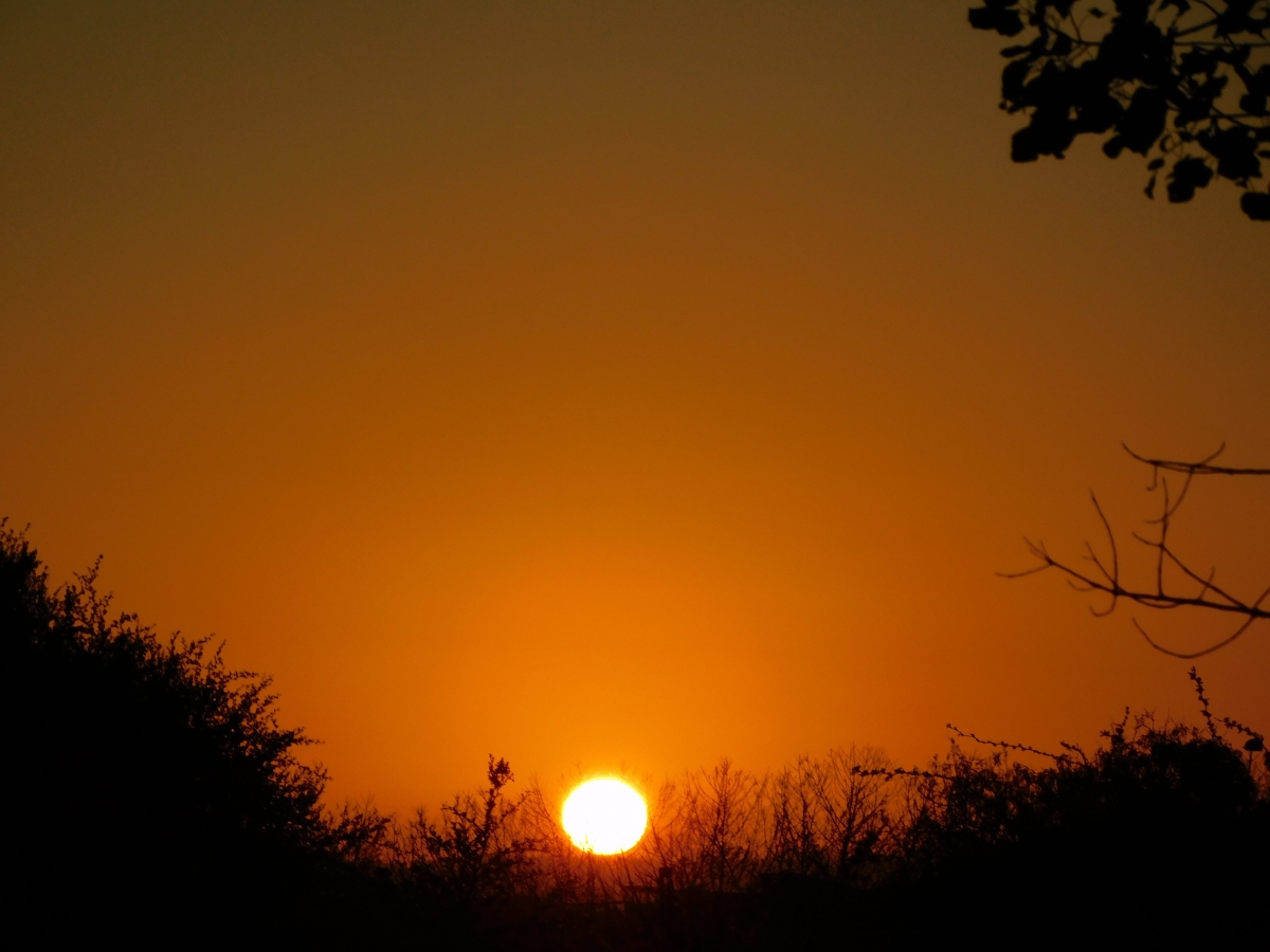 Atardecer en la parcela