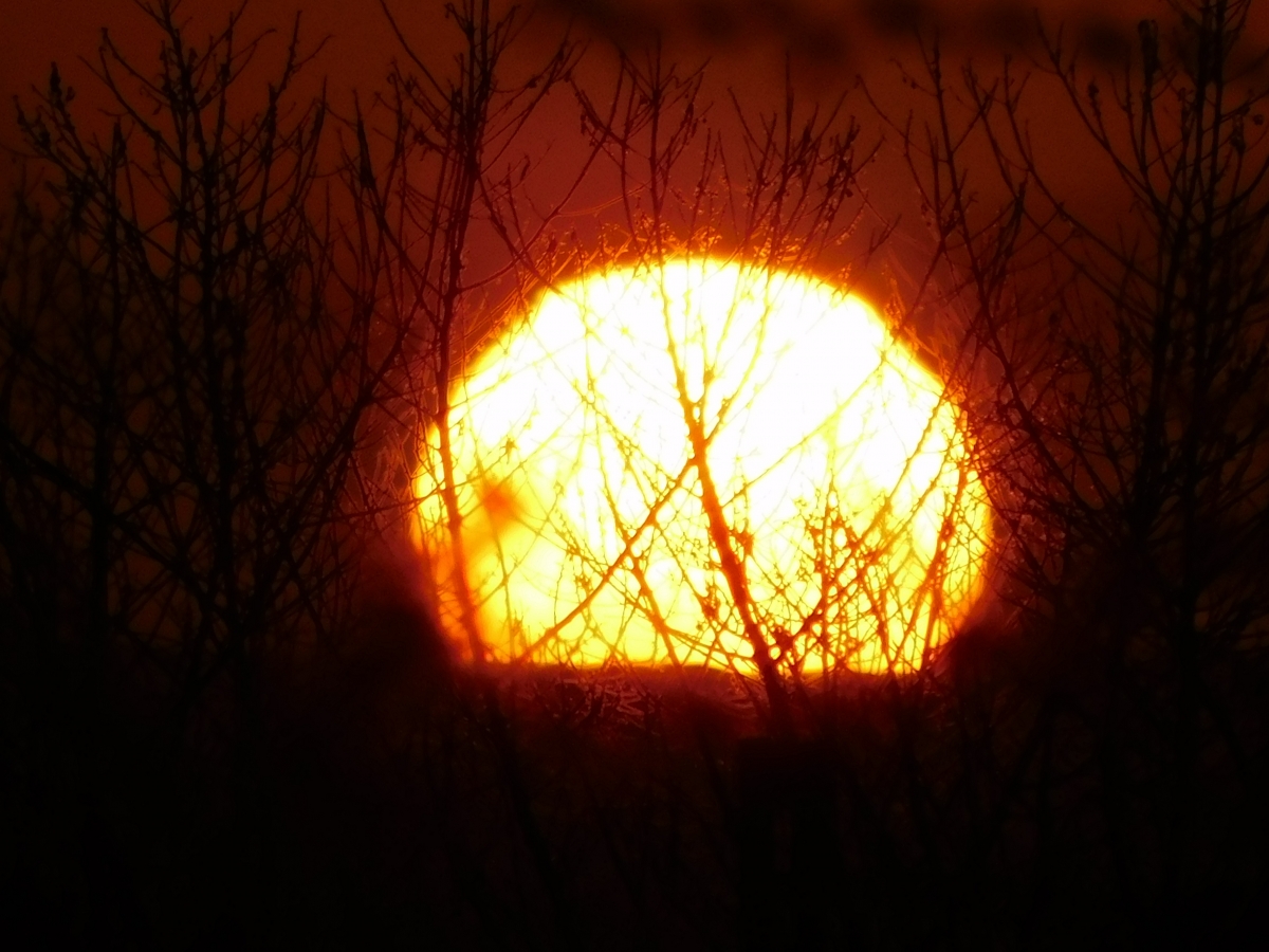 Puesta de sol en la parcela