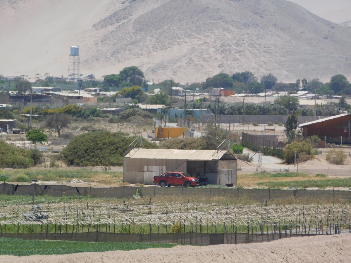 San Pedro, un pueblo cerca del a parcela