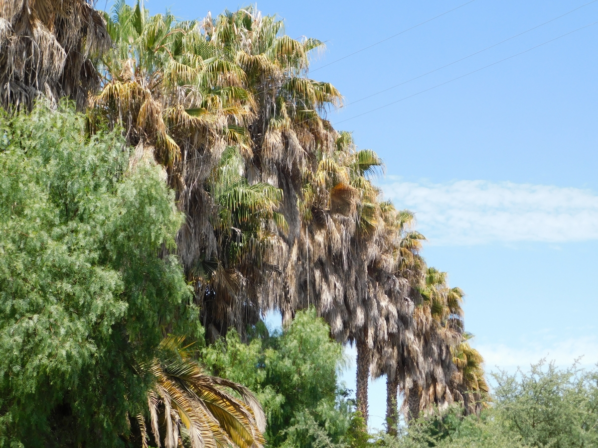 Campo para recreacin