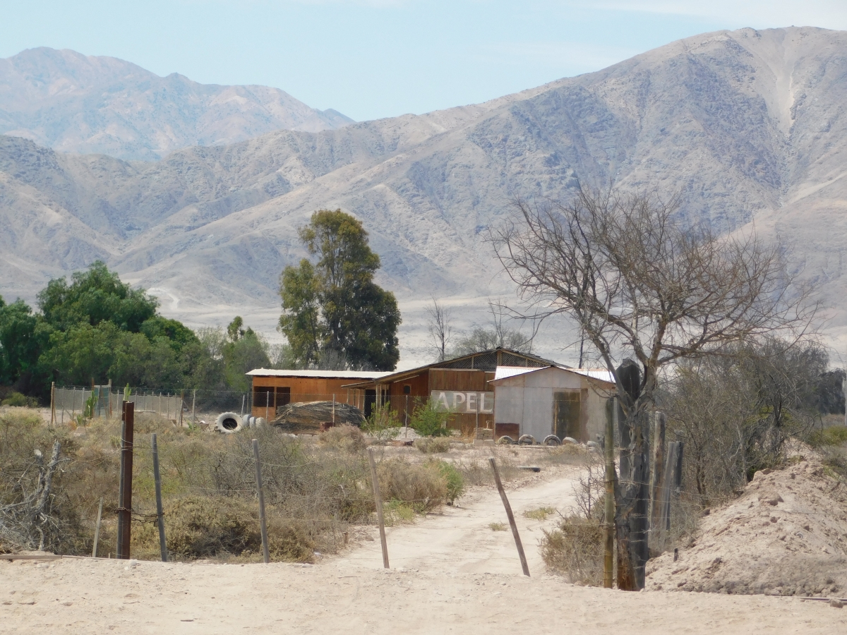 Vistas del lugar, San Pedro 1