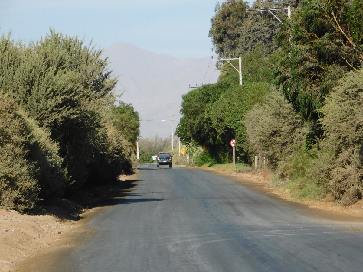 Caminos interiores 1