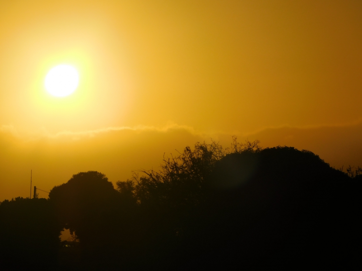 Atardecer en la parcela 2