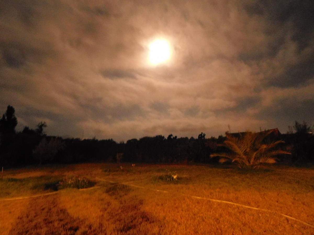 Vista nocturna de la parcela