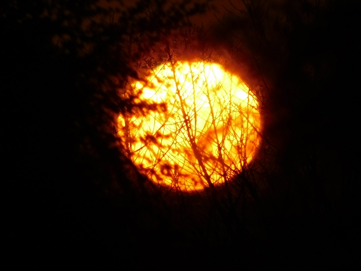 Atardecer 2