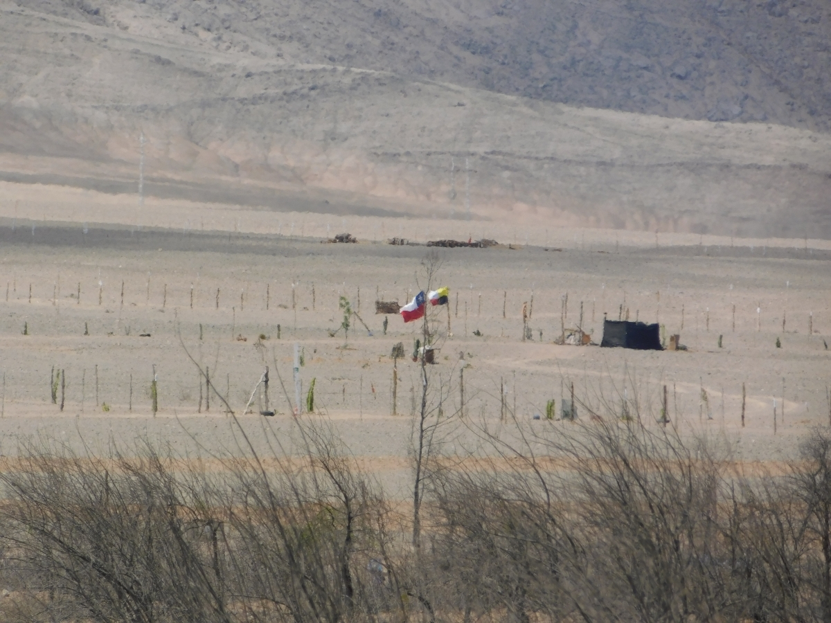 Conociendo el sector de dos hermanas