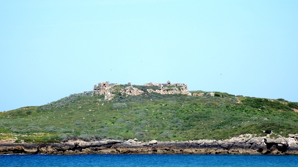 La isla del Pessegueiro