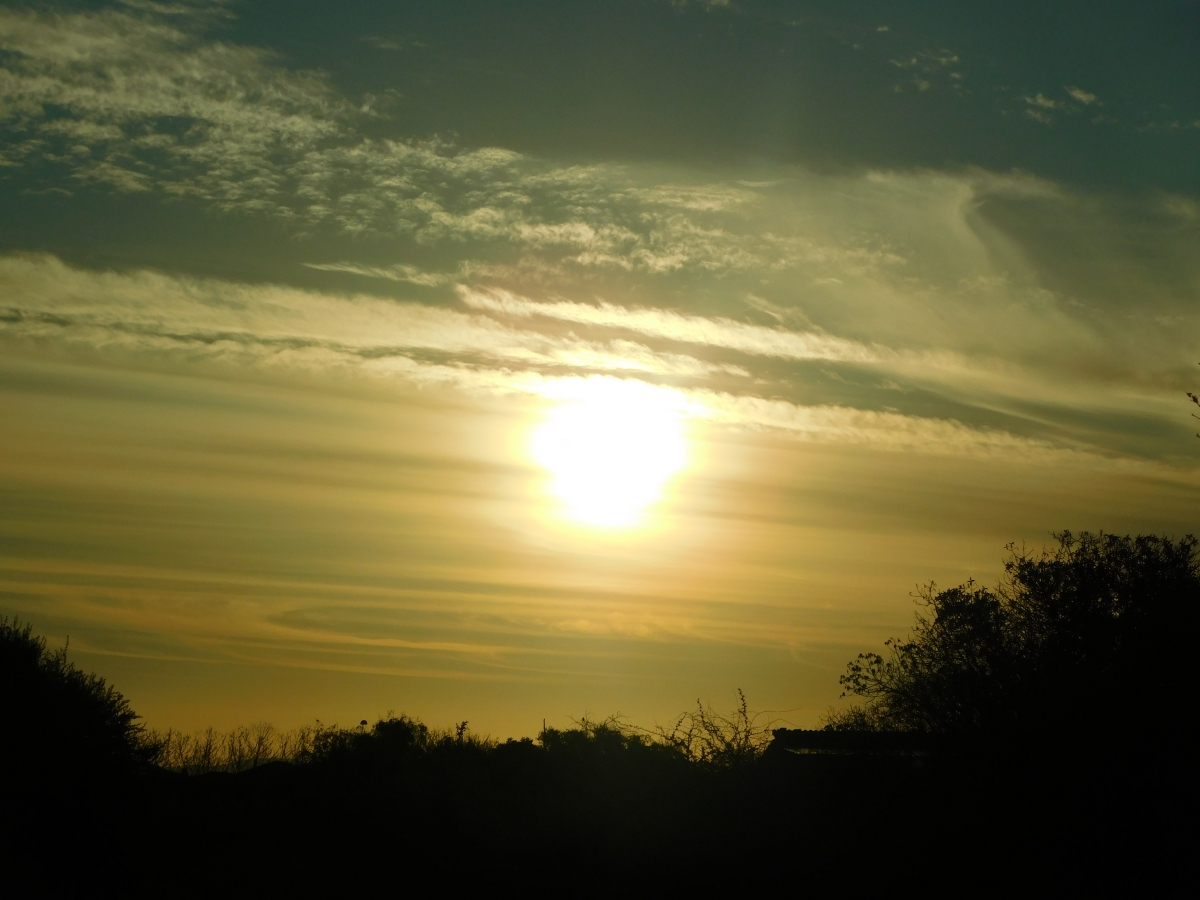 Atardecer en la parcela 1