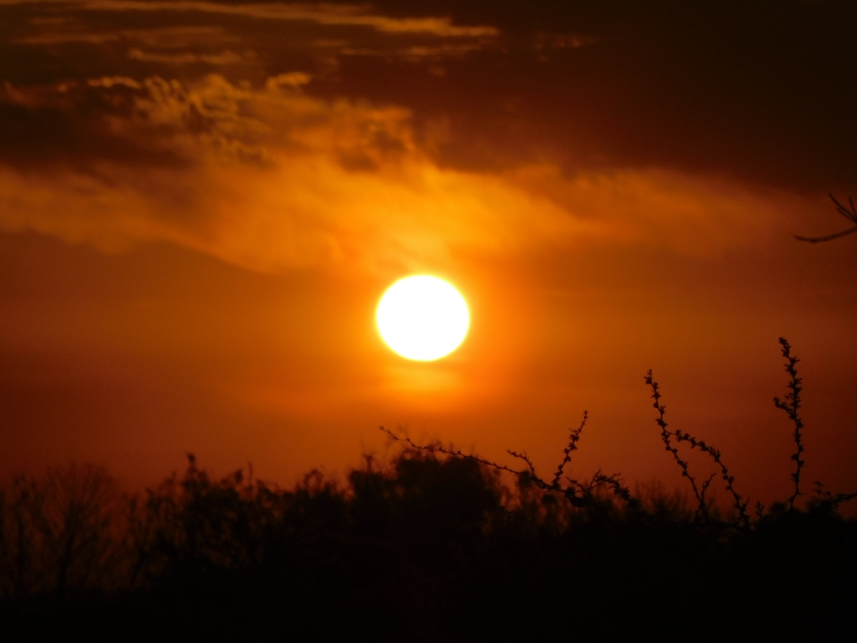 Atardecer en la parcela 2