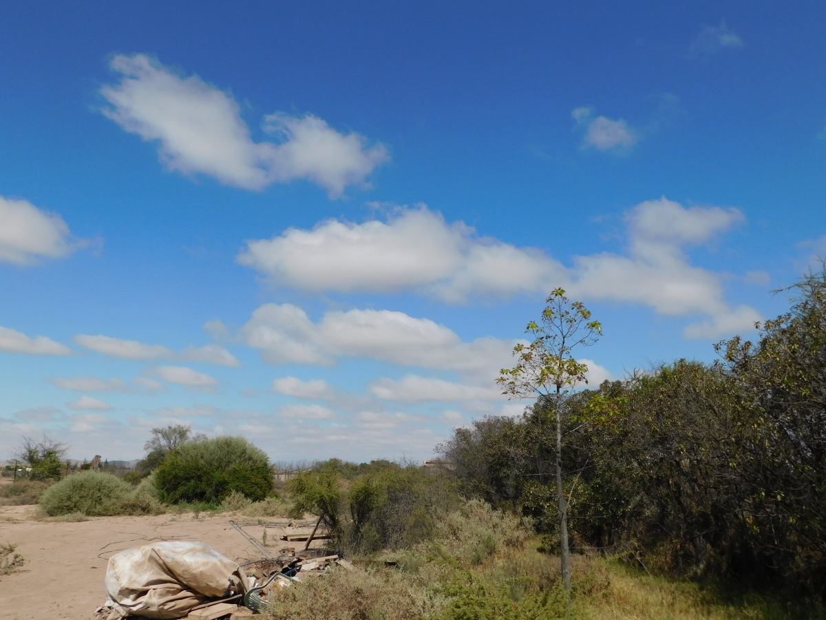 Un paisaje para disfrutar del norte