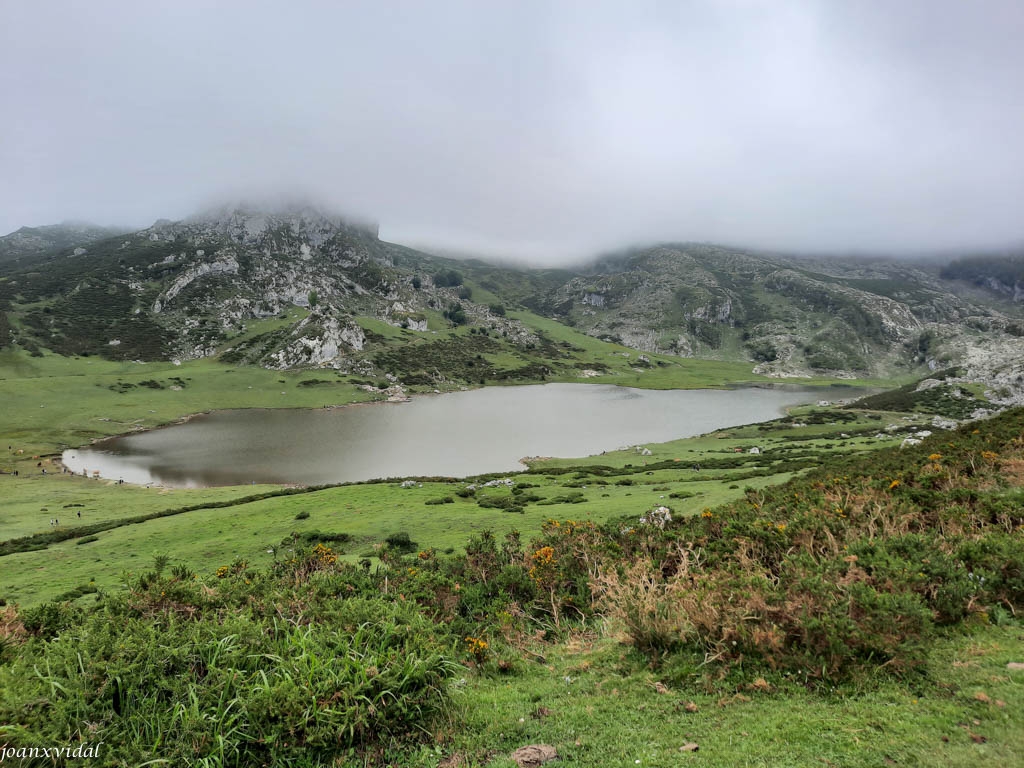 LAGO ENOL