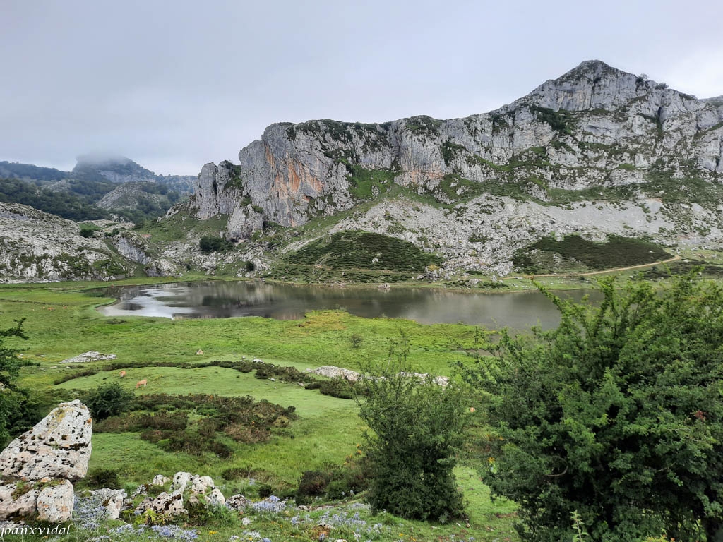 LAGO ENOL