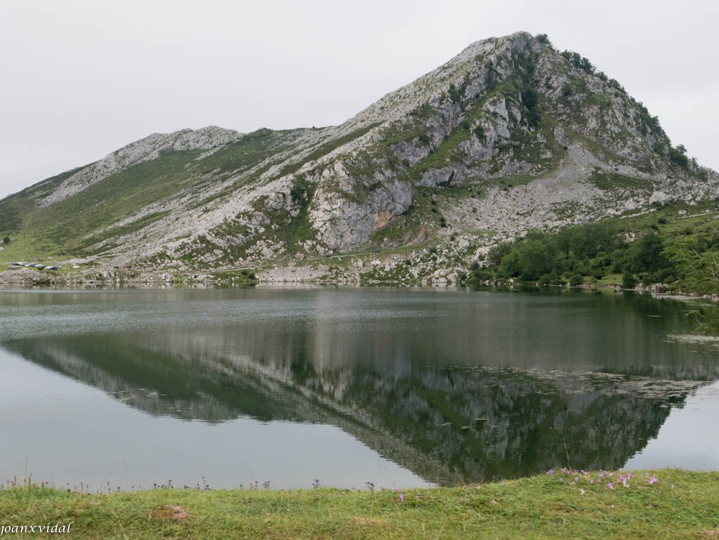 LAGO ENOL