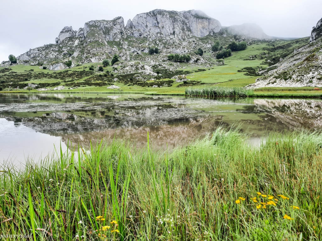 LAGO ENOL