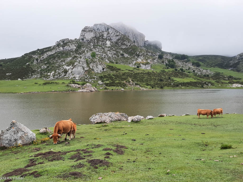 LAGO ENOL